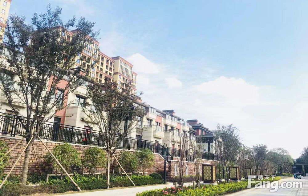 城东东鉴湖 古运河旁排屋别墅 看房车接送 套房价格住