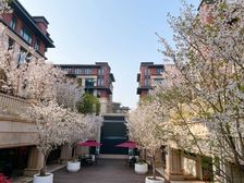 康桥中央工园 企业总部 可分割 可住人 配套完善 环境优美