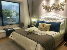 龙湖洋房首付30万,额外优惠99折,一楼带院带下跃