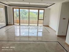 凤凰台,龙湖天钜 大面积 好户型,无遮挡,电梯洋房