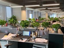 上地 西二旗 神州数码科技广场 800平正对电梯 科技感范