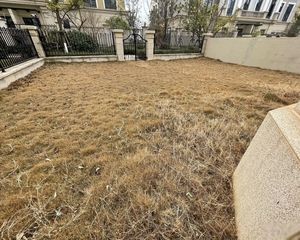 网红打卡地 卢塞恩联排端户别墅 上下四层带大院子 就读二忠急