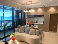 售楼处底价特惠/青林湾旁/大安风华豪装阳台然气/花园洋房类宅