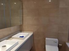 独栋别墅 花桥梦世界 西上海 35万方商业中心 300平花园