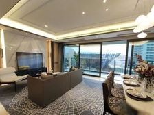 攀成钢板块东区极豪宅精装大平层