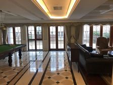 中庚香海一品 独栋山海别墅 高新区轻轨沿线 英伦城堡富豪聚居