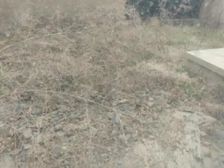 带院子60平、中间位置、地下室100平、看房有钥匙