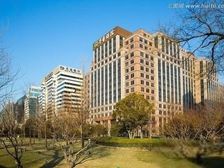 月坛大厦 通泰大厦 交通银行大厦 国际企业大厦连层1万平出租