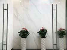 天河珠江新城甲级写字楼 146平 租金仅需2.2元/平米/天