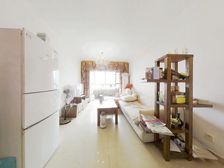 新出文化城 楼层好 采光号 视野开阔 精装修