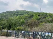 急急急!香邑山 大独栋 精装修 带电梯 香山脚下 空气好