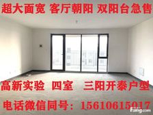 中南熙悦 四室 劳斯莱斯户型 大面宽 随时看房