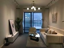 惠阳政务中心惠州南站10芬钟,首付2万起 自带學校中洲公园