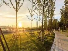 临深近惠阳高铁站一线河景现房自带天虹商场,首付2万,天安珑城