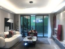 中央公园北央企南北通透板式洋房改善低密住宅