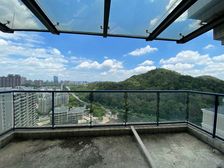 天骄御峰 260平公园小区环境优美 地铁口物业 满五年税费少