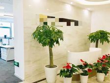 环球贸易中心来福士中心中青旅大厦中汇广场188.88平精装