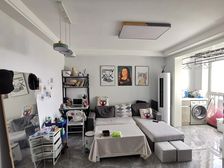 三林世博家园(东书房路390弄) 64平1居 南向简装修