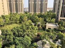 好房必看(房源真实)(业主急售)(看房方便)