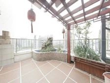 新上 板式南北通电梯复式 送车位,送大露台,楼上不算产证面积