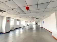 真实照片、真实价格 牡丹园新时代大厦490平特价随时可看房