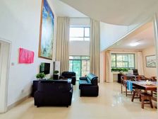 一层二层双入户.复式.挑空6米高客厅.急售单价超低,地铁旁