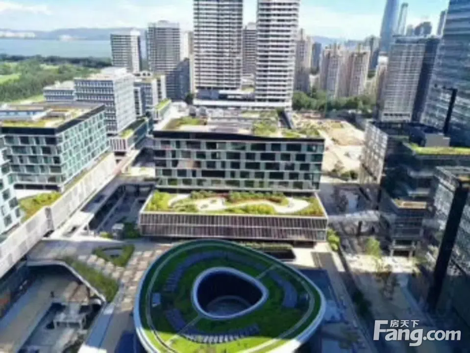 南山深圳湾科技生态园 双地铁口 300平米精装户型 户型方正