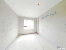 金茂大开发商 全新毛坯 采光视野好 背靠桃花岭