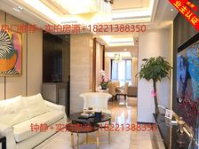 业主+急降百万售出+送车位+送储藏室+送家具家电+观景房