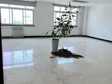 五道口 东王庄33号招租 40平 300平 不限行业