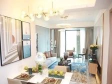 青龙湖300米 临湖小镇 6层高精装科技住宅 回家无触摸系统