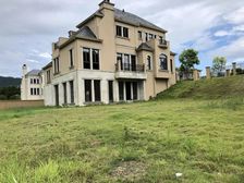 绿城桃花源 独栋别墅 700方大花园 一手现楼 即买即住