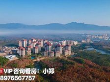 海南·保亭县《双大野奢世界》63㎡两房 70年产权 精装现房