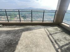 980万哇!273平植物园鼎峰大平层,景观是真的美哟!