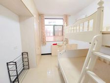 新出 中山小 七星井新村 框架两房 低总价 居家装修