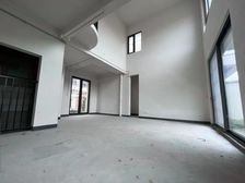 金臣颐墅 网红楼盘类独栋 东边套 大花园 干挂石材外立面