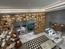 东安湖别墅下叠超大赠送面积紫镜东来书房地铁站保利云上旁