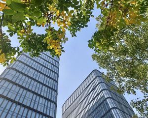 丽金数字科技示范园 京能天泰大厦 丽金中心写字楼2万平出售