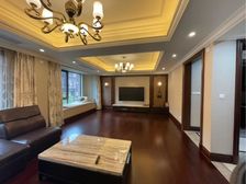 带车位 金地人车分流上叠别墅 精装4房 低于市场100万急卖