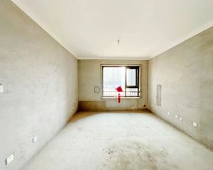 降价了 北龙湖南岸小户型豪宅 小区环境优美 随时看房