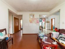 星晓家园 南北通透 近地铁 精装修 板楼 满五