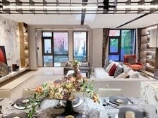 未来科學城内 离地铁700米叠拼上叠 10.5米大面宽