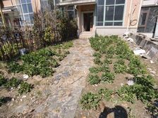万象城商圈 西湖翠苑 联排别墅 纯毛坯 有院子 有汽车库
