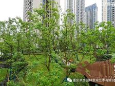 必看,220万,礼嘉横厅看江大四房,视野开阔,居家安静