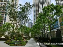 必看,235万,龙湖166平,横厅五房大平层,视野开阔