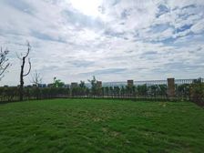 稀缺临崖头牌!洋房一楼带230平花园,室内单层面积260平!