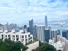 195189 43928山顶维港烟花海洋房 尖頂尊贵身份象徵