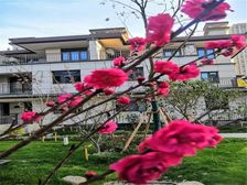 建滔裕园 花桥联排别墅 送大花园地下室露台 近地铁现房近学校