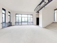 环山独栋 岚山别墅 超大环绕大花园 位置好 纯毛坯 房主急售