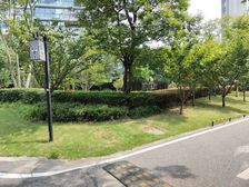 鼎级豪宅 万科青山湖稀缺联排别墅端户 带超大院子 性价比高